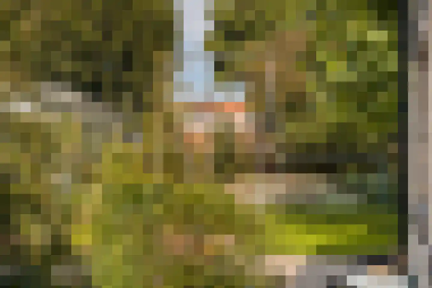 Voorstraat 10 Melissant thumbnail 36