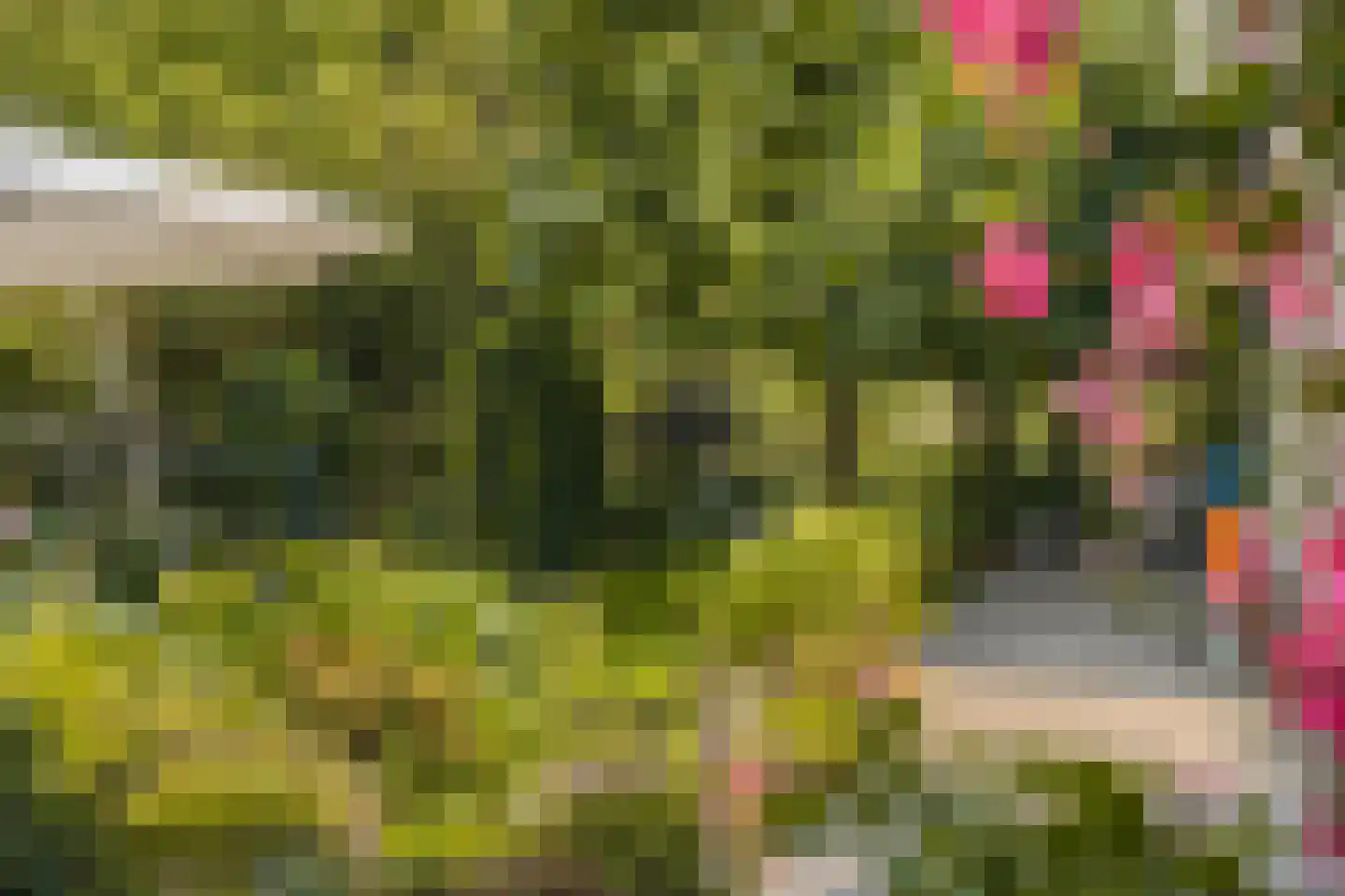 Voorstraat 10 Melissant thumbnail 37