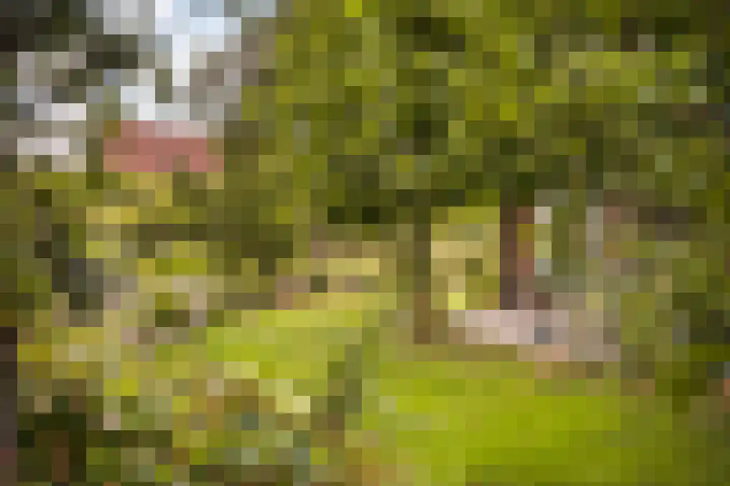 Voorstraat 10 Melissant thumbnail 38
