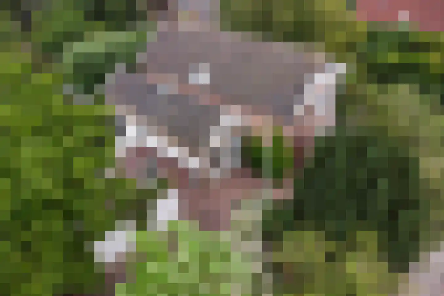 Voorstraat 10 Melissant thumbnail 4