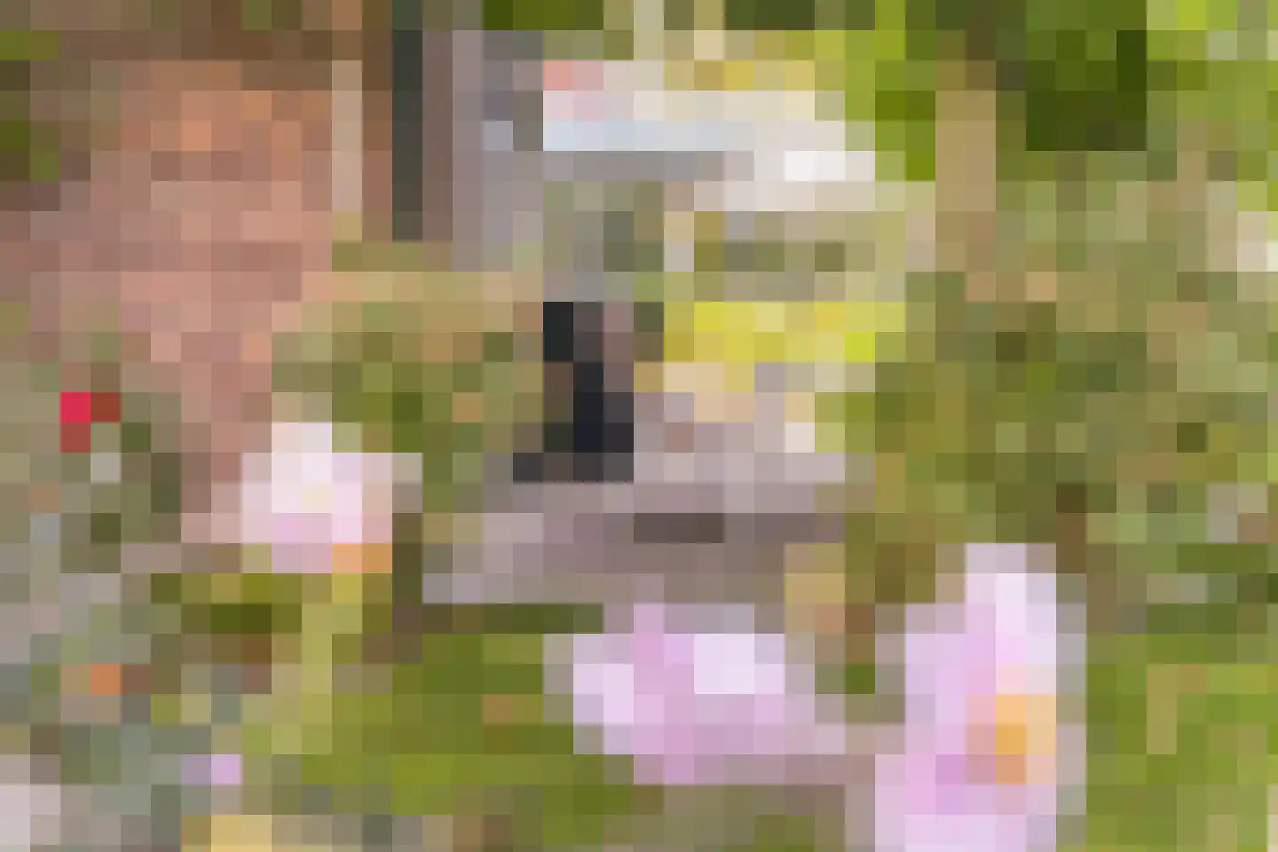 Voorstraat 10 Melissant thumbnail 40