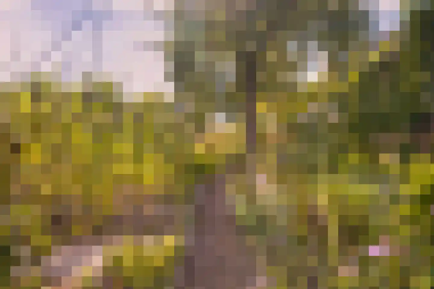 Voorstraat 10 Melissant thumbnail 41