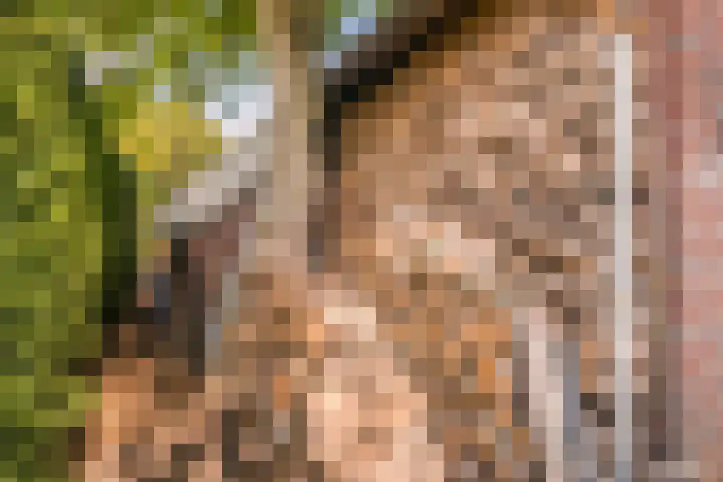 Voorstraat 10 Melissant thumbnail 42