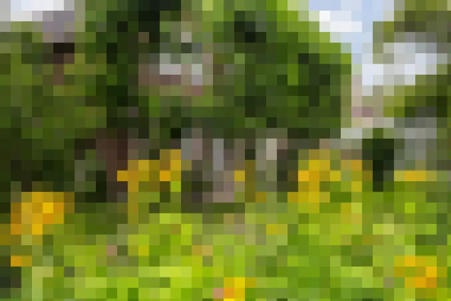 Voorstraat 10 Melissant thumbnail 43
