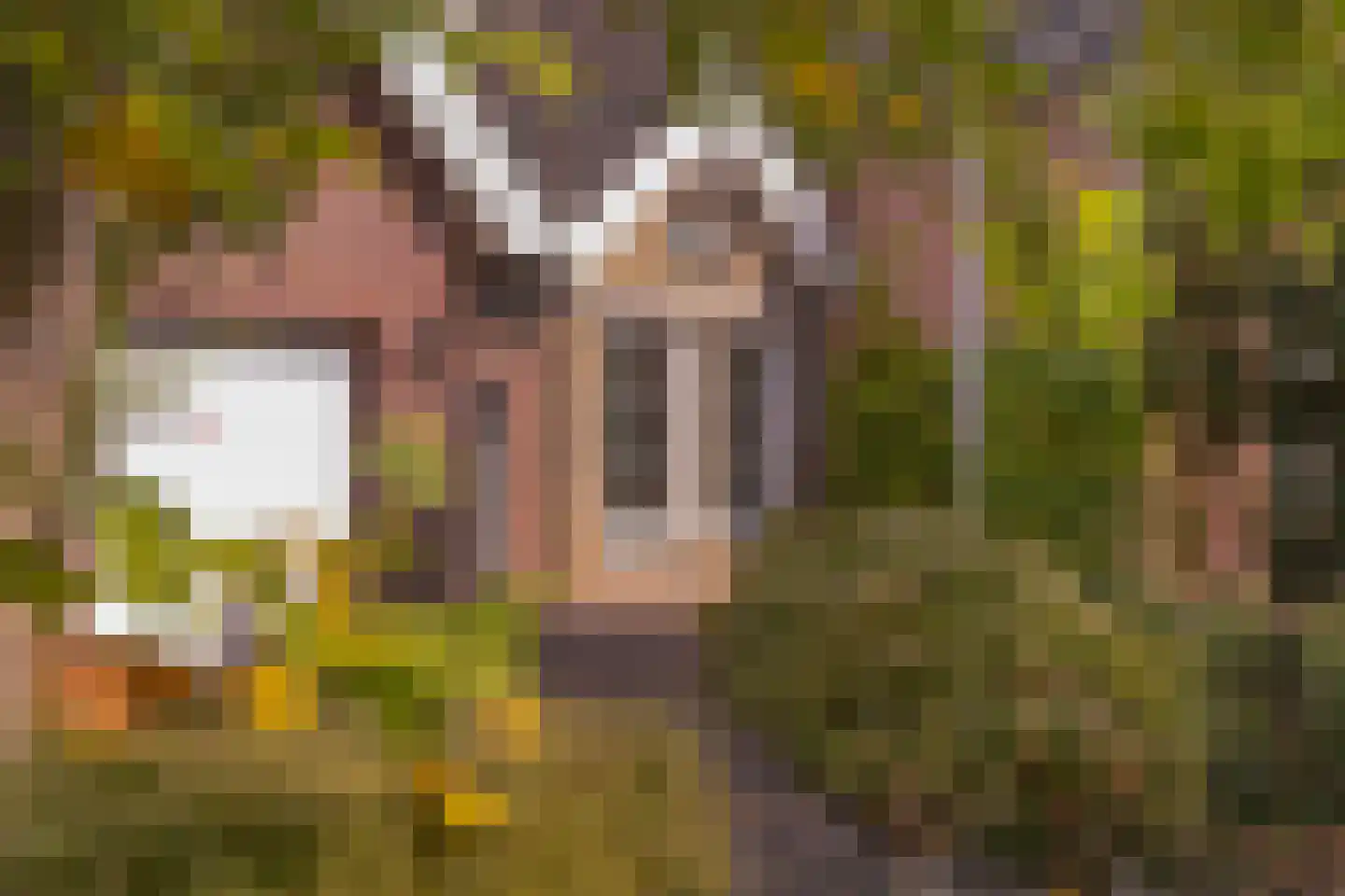 Voorstraat 10 Melissant thumbnail 5