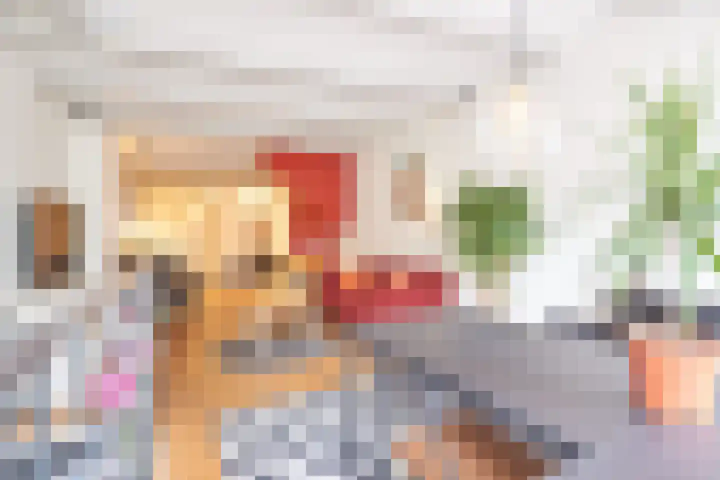 Voorstraat 100 A Utrecht thumbnail 11