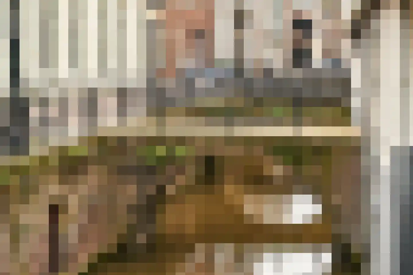 Voorstraat 100 A Utrecht thumbnail 34
