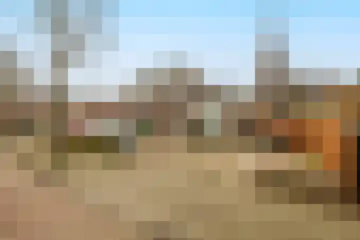Voorstraat 100 C Poeldijk thumbnail 32