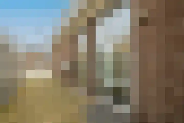 Voorstraat 100 C Poeldijk thumbnail 5