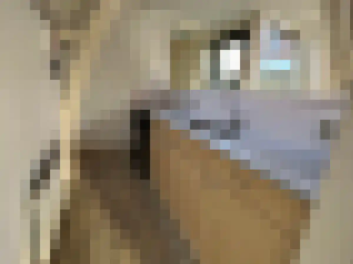 Voorstraat 108 Kampen thumbnail 5