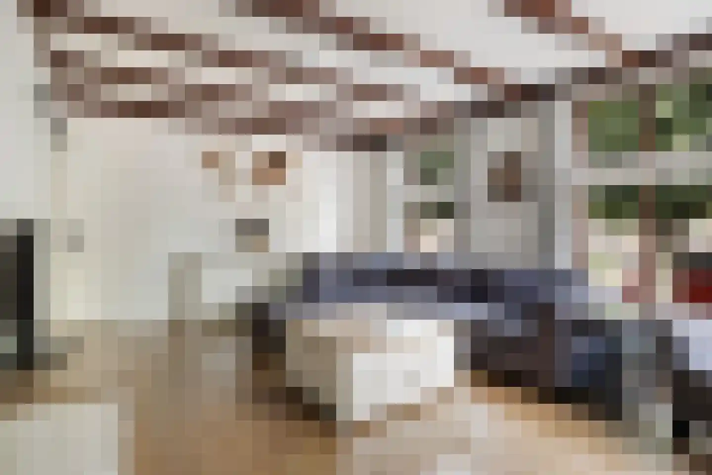 Voorstraat 11 Beesd thumbnail 7