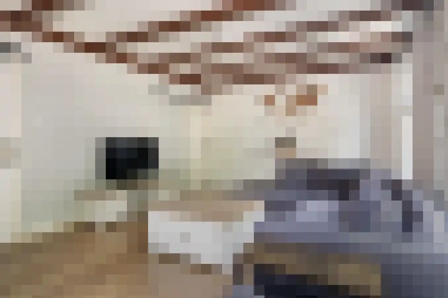 Voorstraat 11 Beesd thumbnail 8
