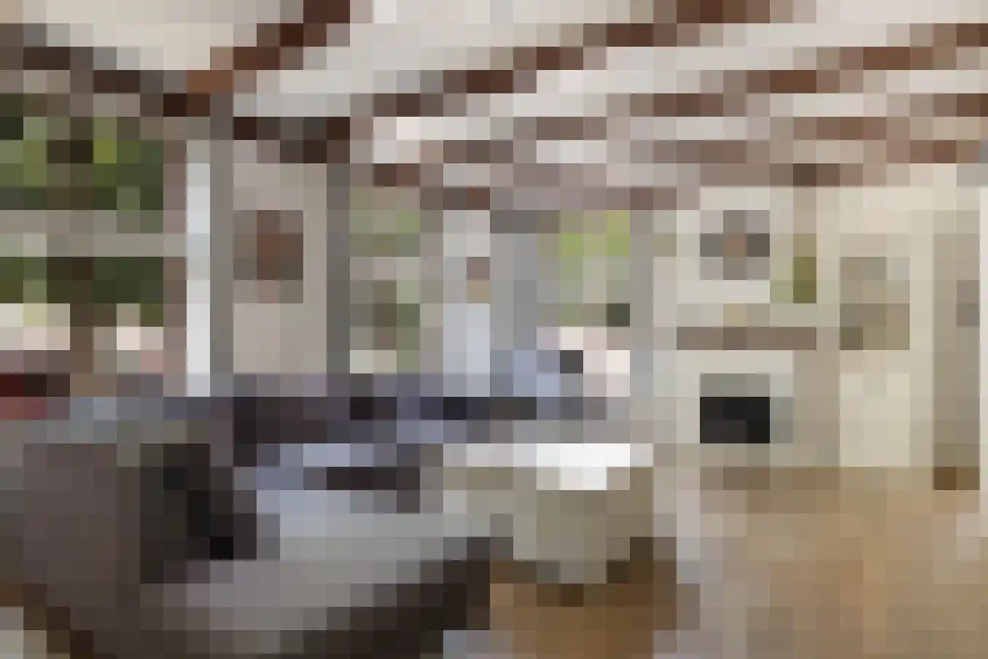 Voorstraat 11 Beesd thumbnail 9