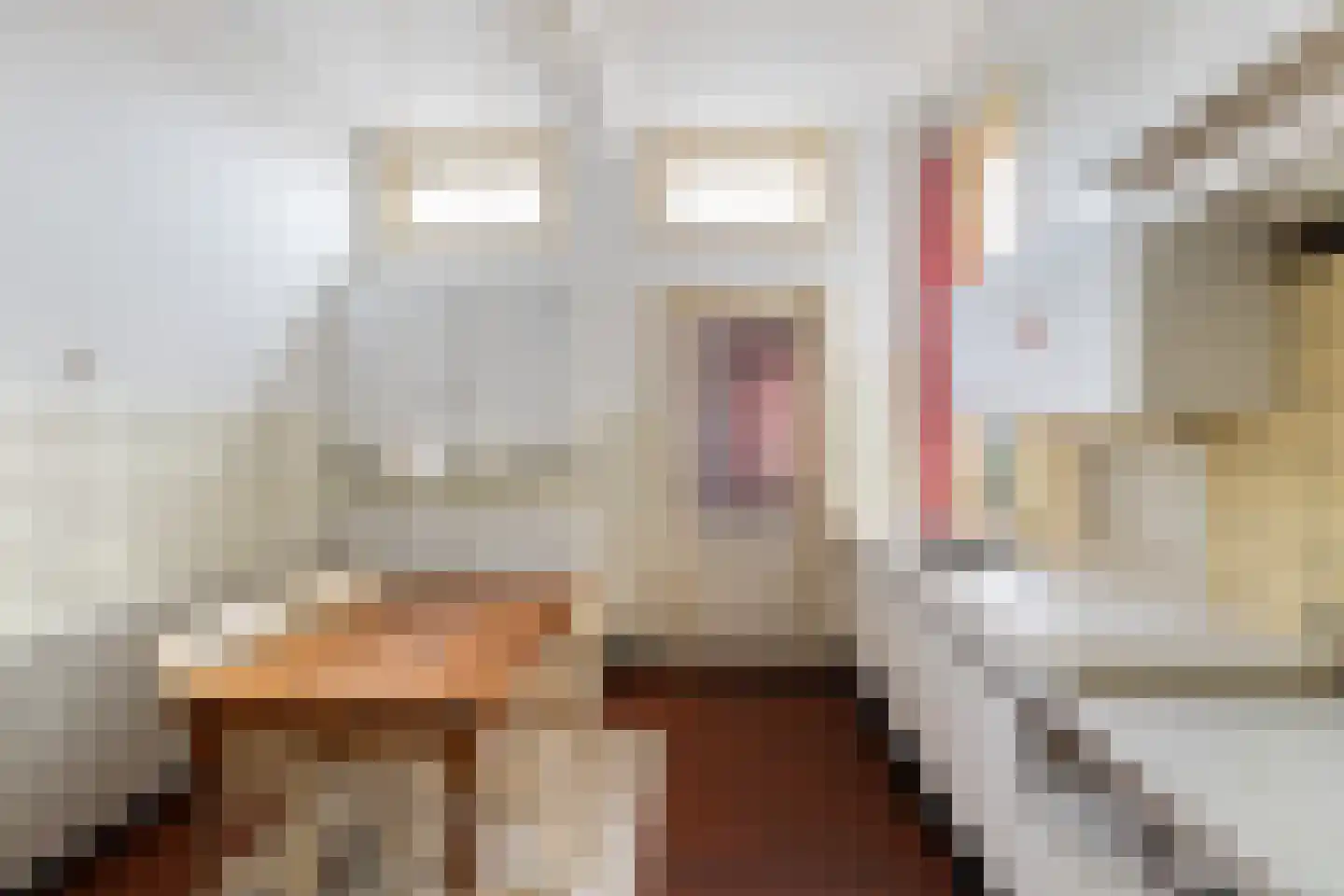 Voorstraat 110 Beesd thumbnail 18