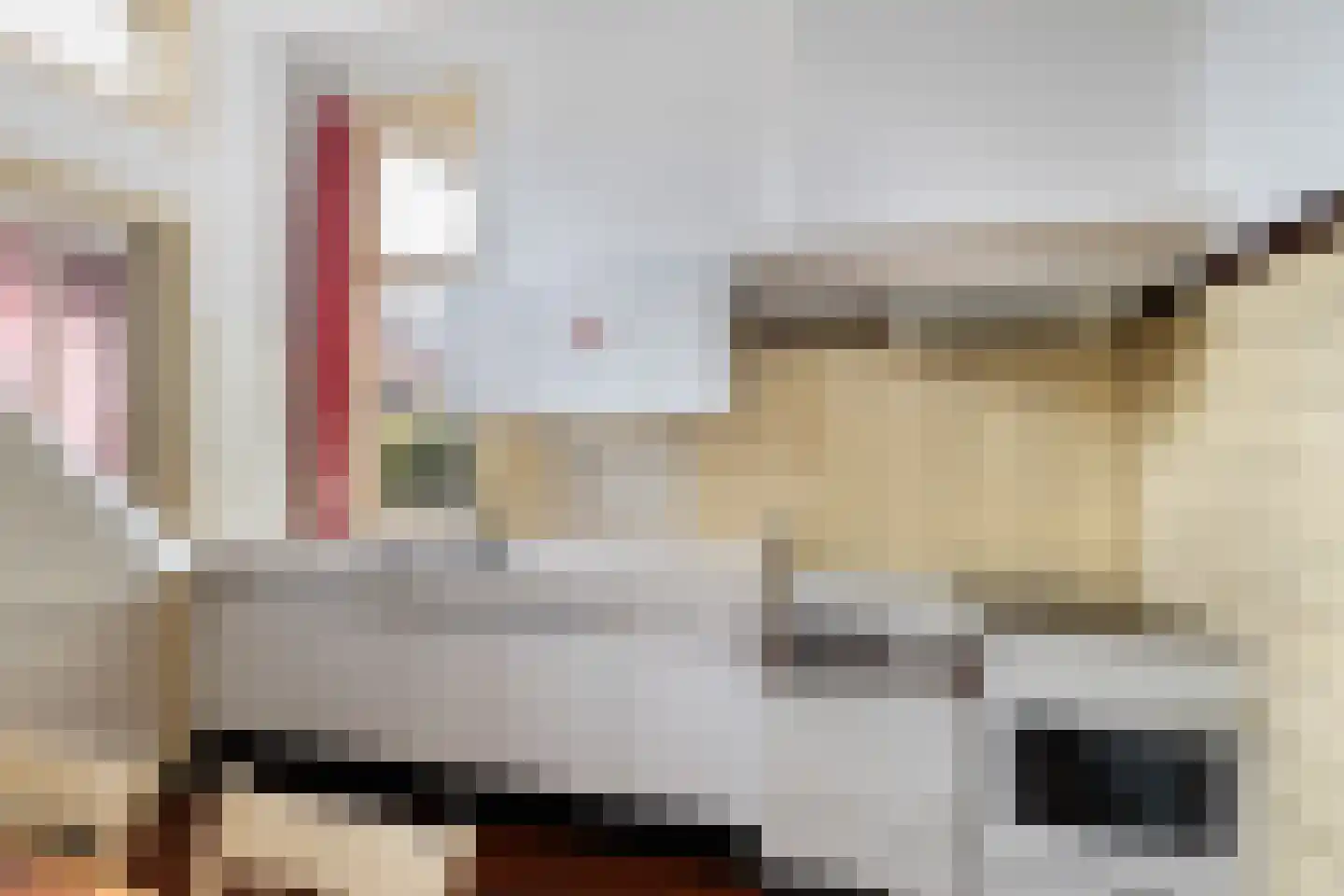 Voorstraat 110 Beesd thumbnail 19