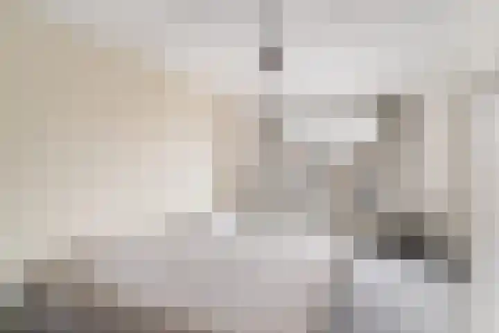 Voorstraat 110 Beesd thumbnail 34