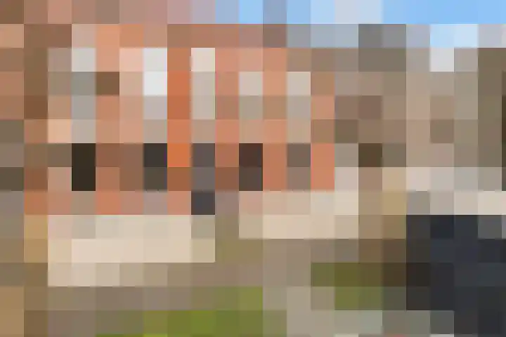 Voorstraat 110 Beesd thumbnail 49