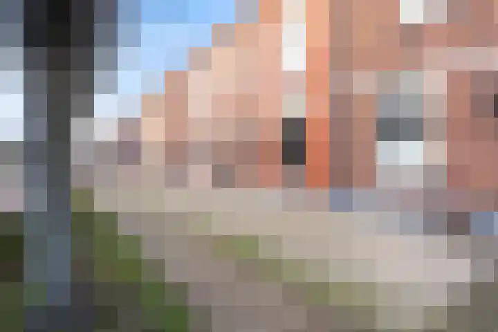 Voorstraat 110 Beesd thumbnail 50