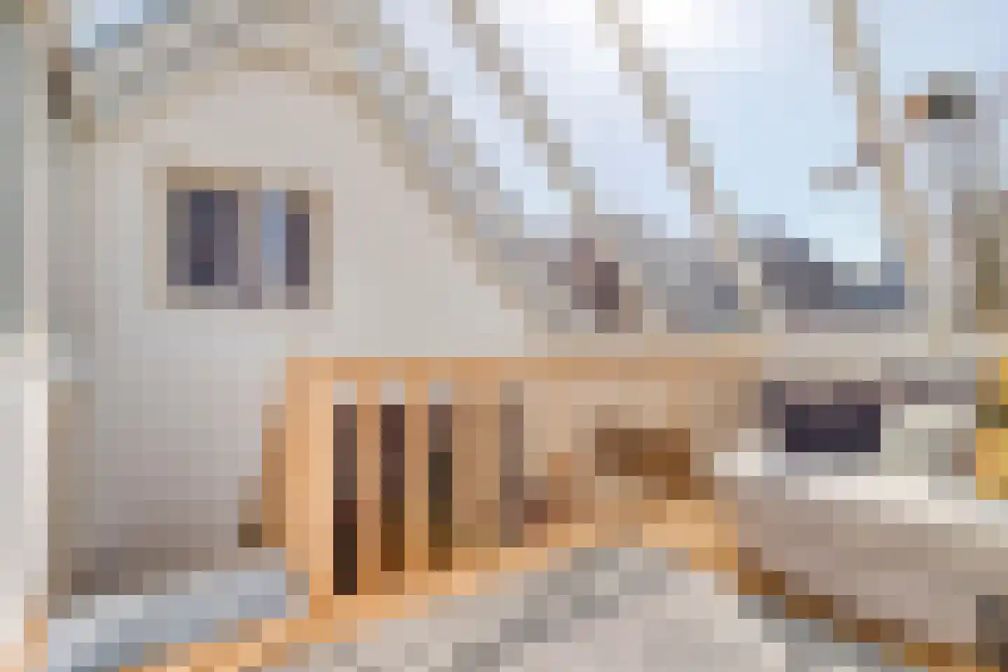 Voorstraat 112 Lekkerkerk thumbnail 17