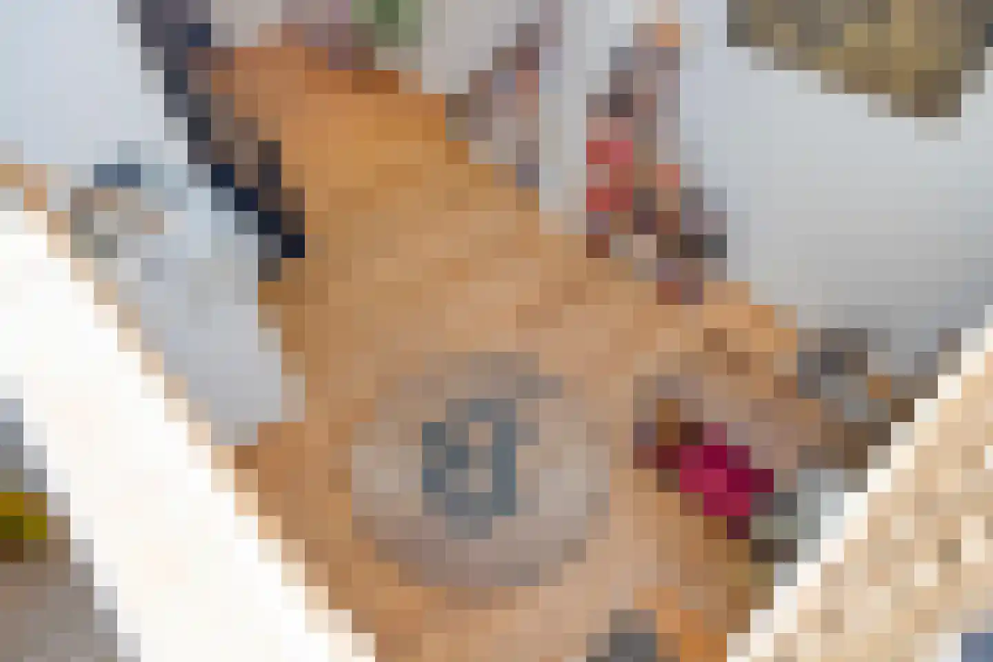 Voorstraat 112 Lekkerkerk thumbnail 18