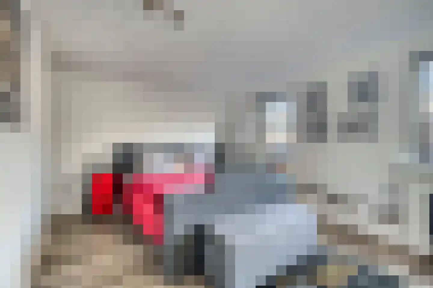 Voorstraat 112 Lekkerkerk thumbnail 22