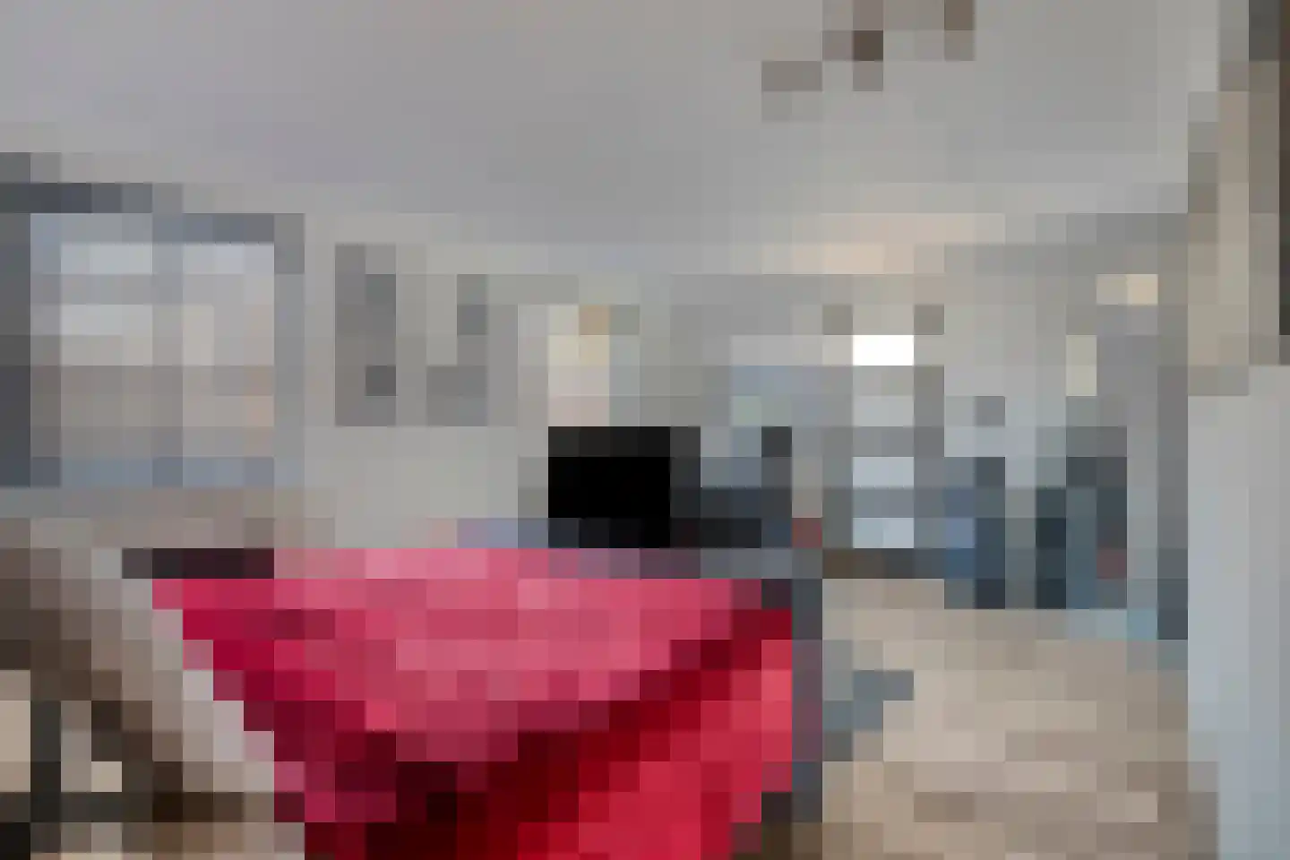 Voorstraat 112 Lekkerkerk thumbnail 23