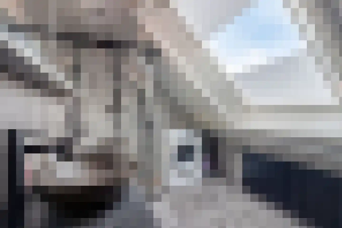 Voorstraat 112 Lekkerkerk thumbnail 29