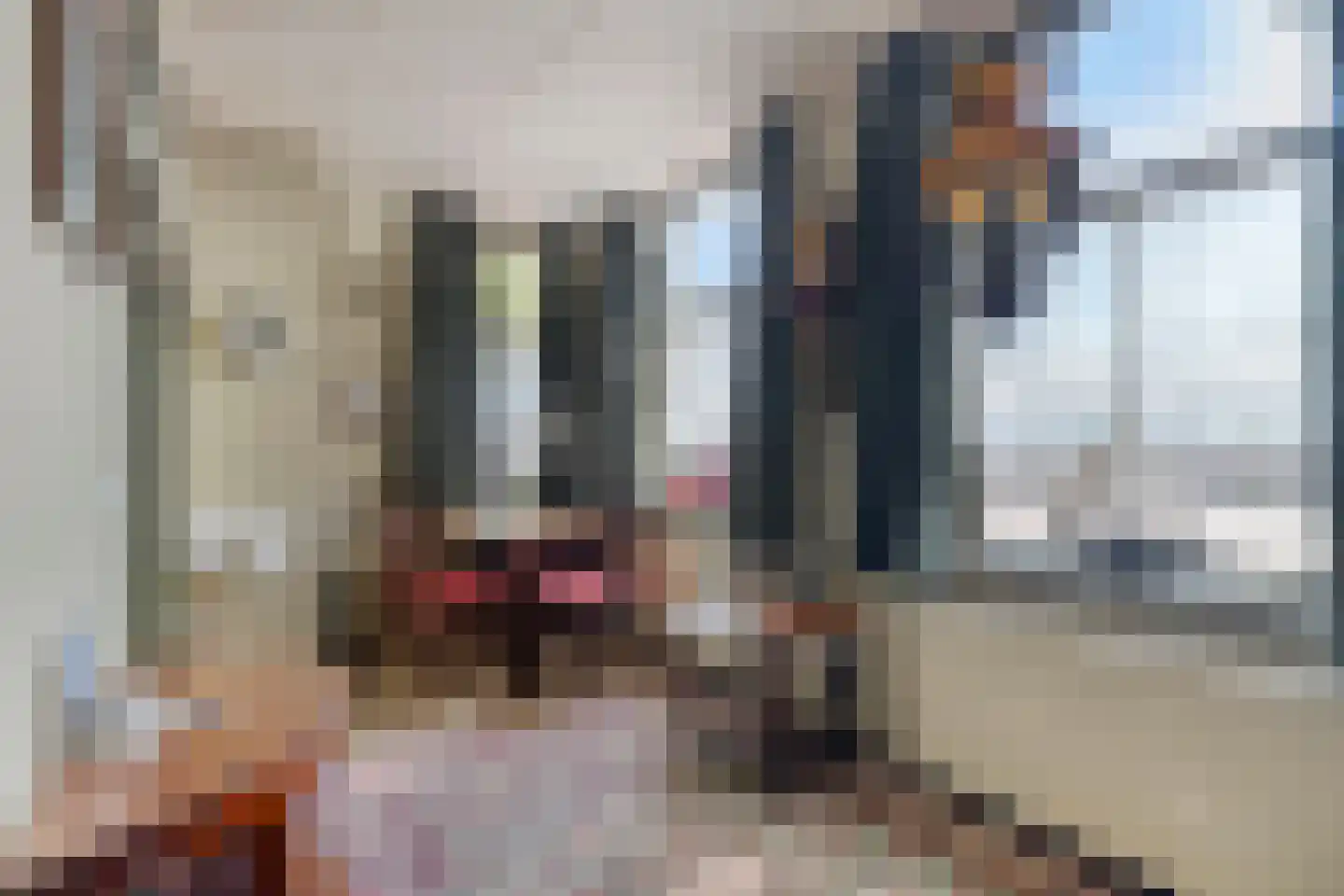 Voorstraat 112 Lekkerkerk thumbnail 38