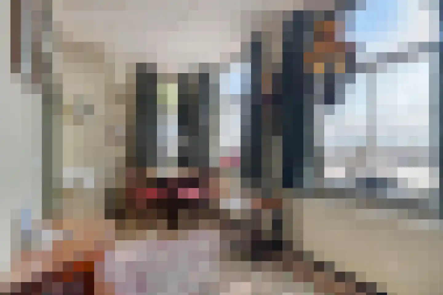Voorstraat 112 Lekkerkerk thumbnail 38
