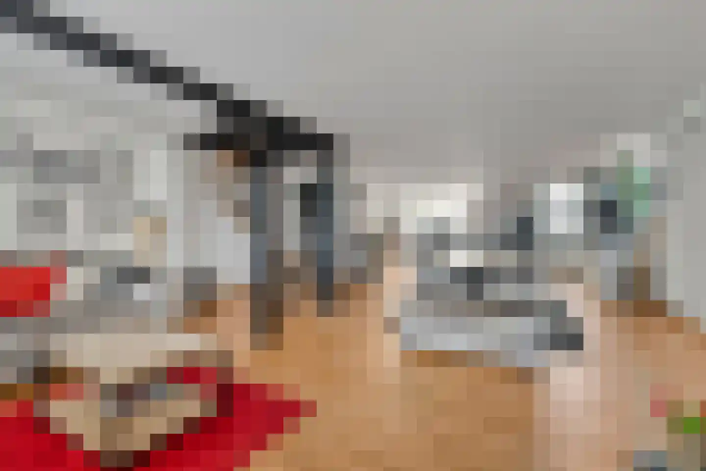 Voorstraat 112 Lekkerkerk thumbnail 4