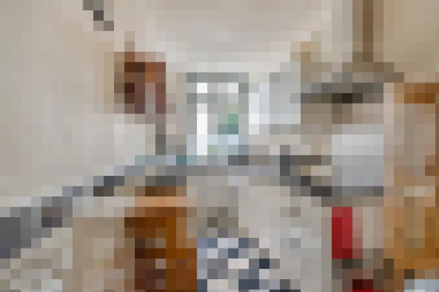 Voorstraat 112 Lekkerkerk thumbnail 46