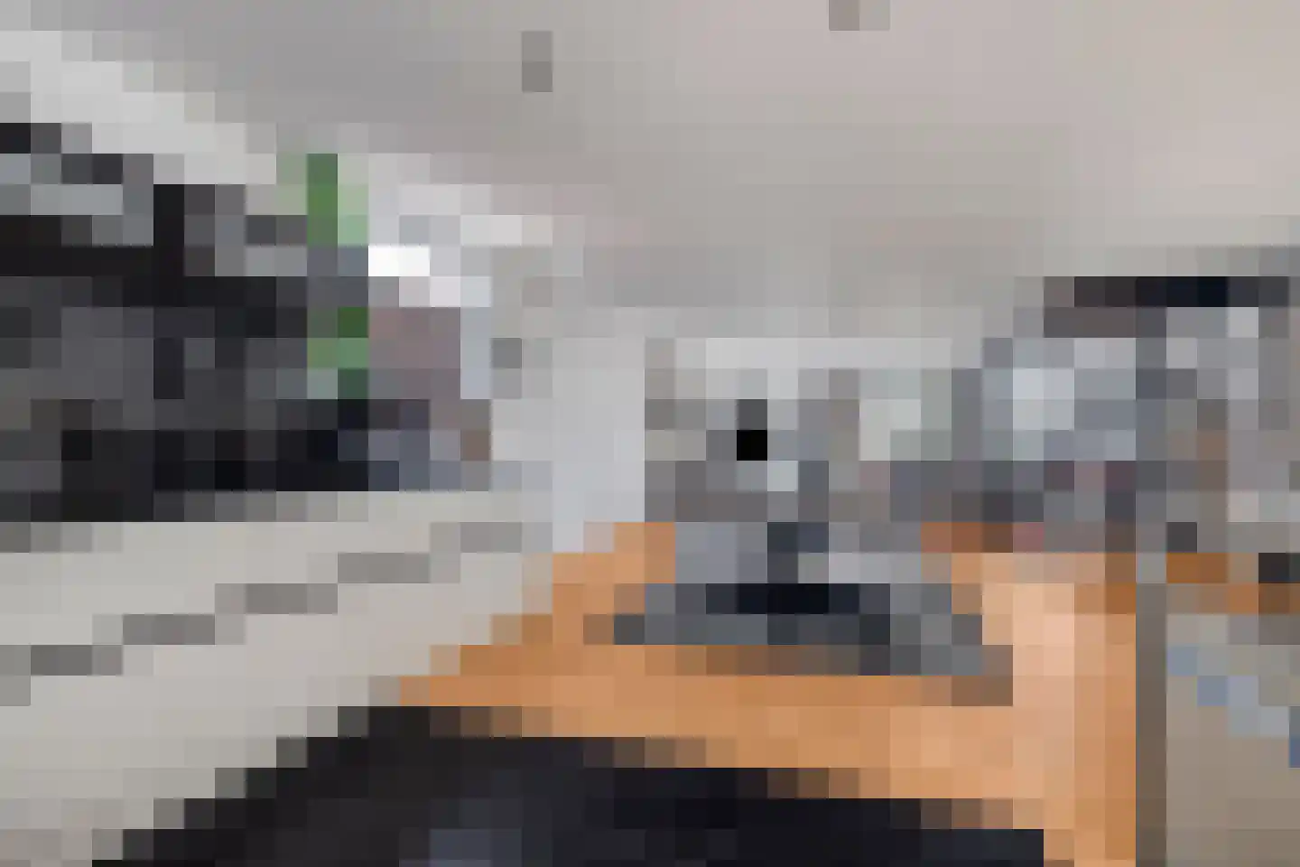 Voorstraat 112 Lekkerkerk thumbnail 7
