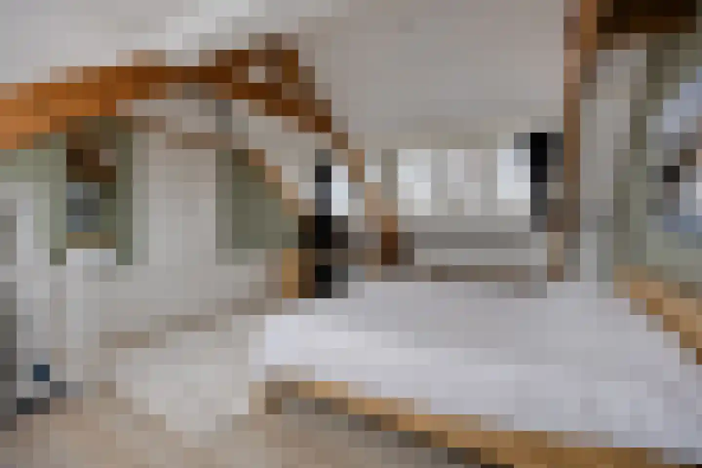 Voorstraat 112 Poeldijk thumbnail 33