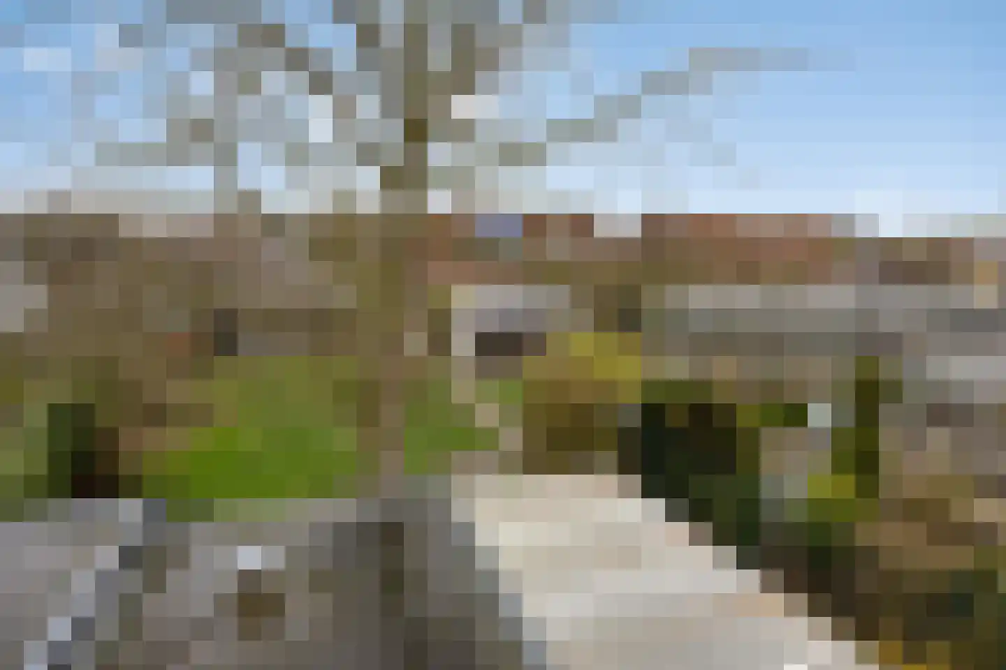 Voorstraat 112 Poeldijk thumbnail 38