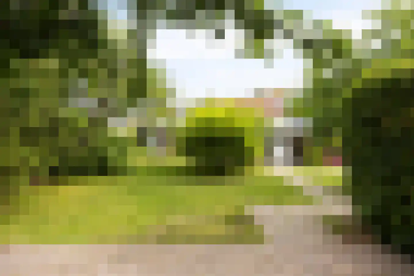 Voorstraat 112 Poeldijk thumbnail 38