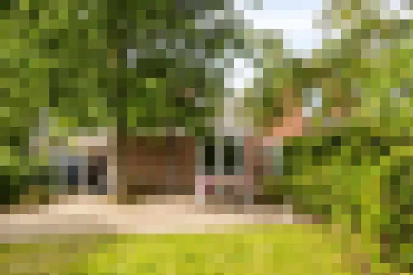 Voorstraat 112 Poeldijk thumbnail 41