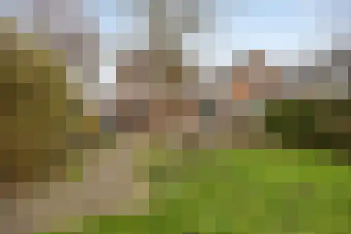 Voorstraat 112 Poeldijk thumbnail 42