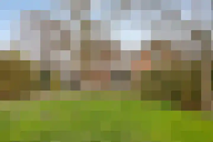 Voorstraat 112 Poeldijk thumbnail 43