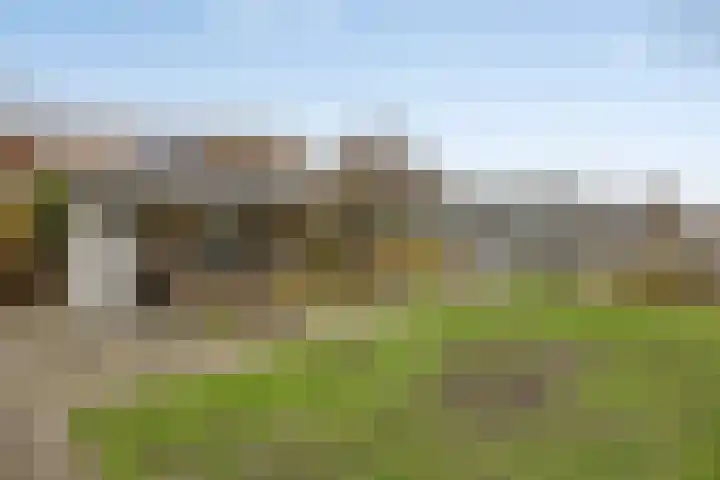 Voorstraat 112 Poeldijk thumbnail 47
