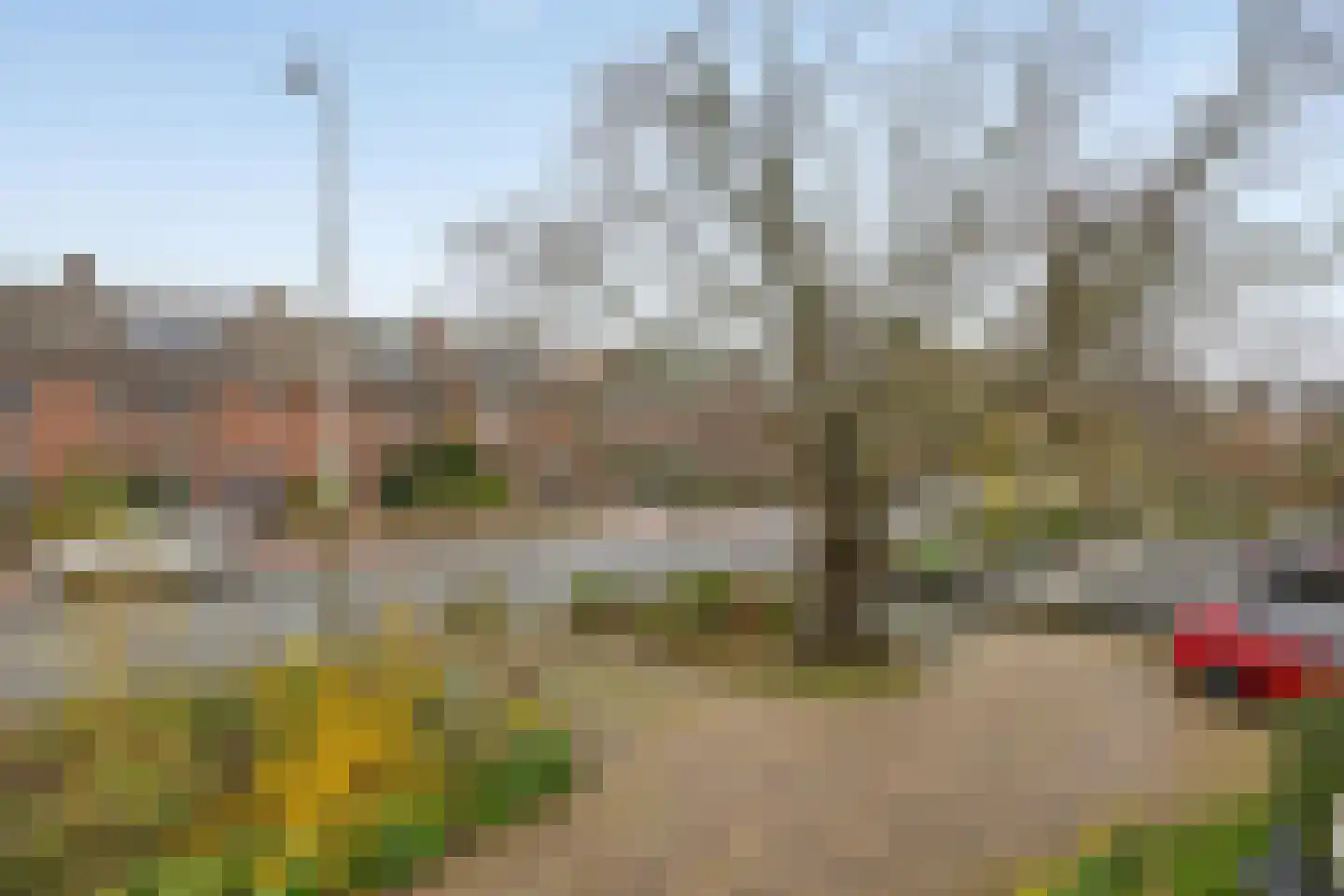 Voorstraat 112 Poeldijk thumbnail 53