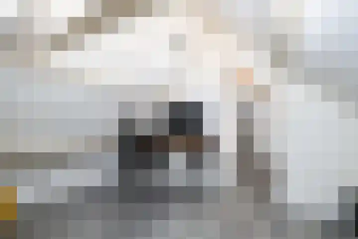 Voorstraat 118 Brielle thumbnail 52