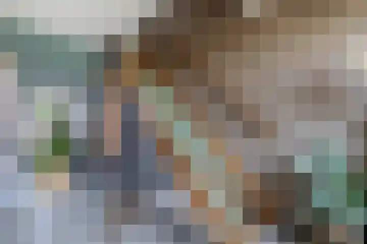 Voorstraat 12 Oude-Tonge thumbnail 15