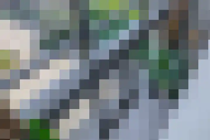 Voorstraat 12 Oude-Tonge thumbnail 20