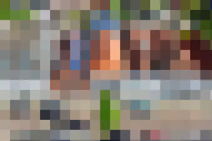 Voorstraat 12 Oude-Tonge thumbnail 32
