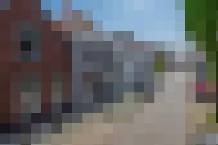 Voorstraat 12 Oude-Tonge thumbnail 33