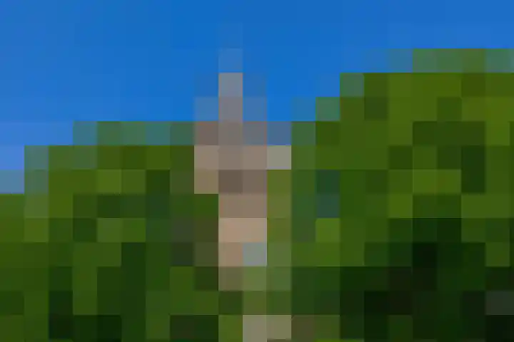 Voorstraat 12 Oude-Tonge thumbnail 44