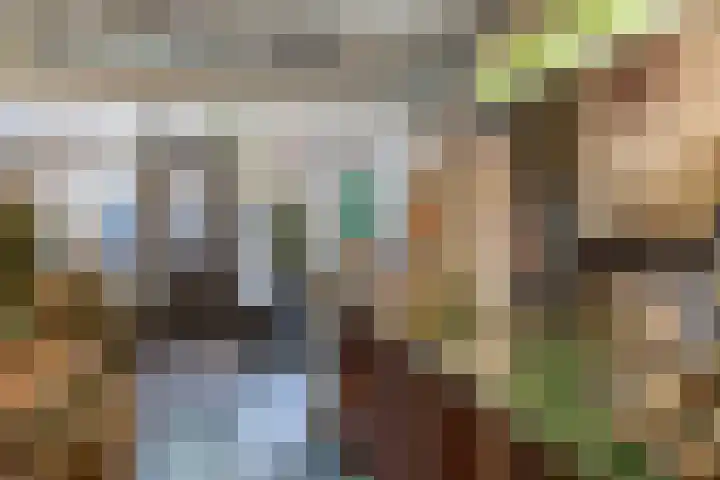 Voorstraat 12 Oude-Tonge thumbnail 5