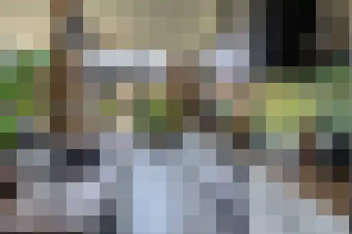 Voorstraat 12 Oude-Tonge thumbnail 9
