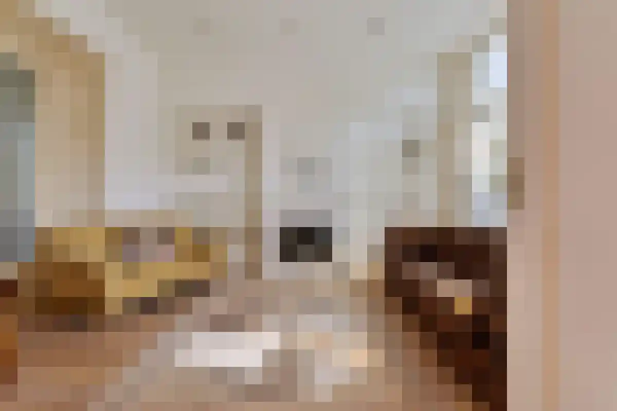 Voorstraat 12 Wissenkerke thumbnail 10