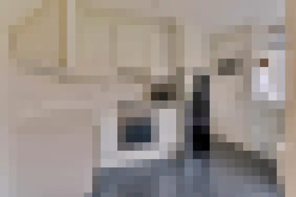 Voorstraat 12 Wissenkerke thumbnail 17